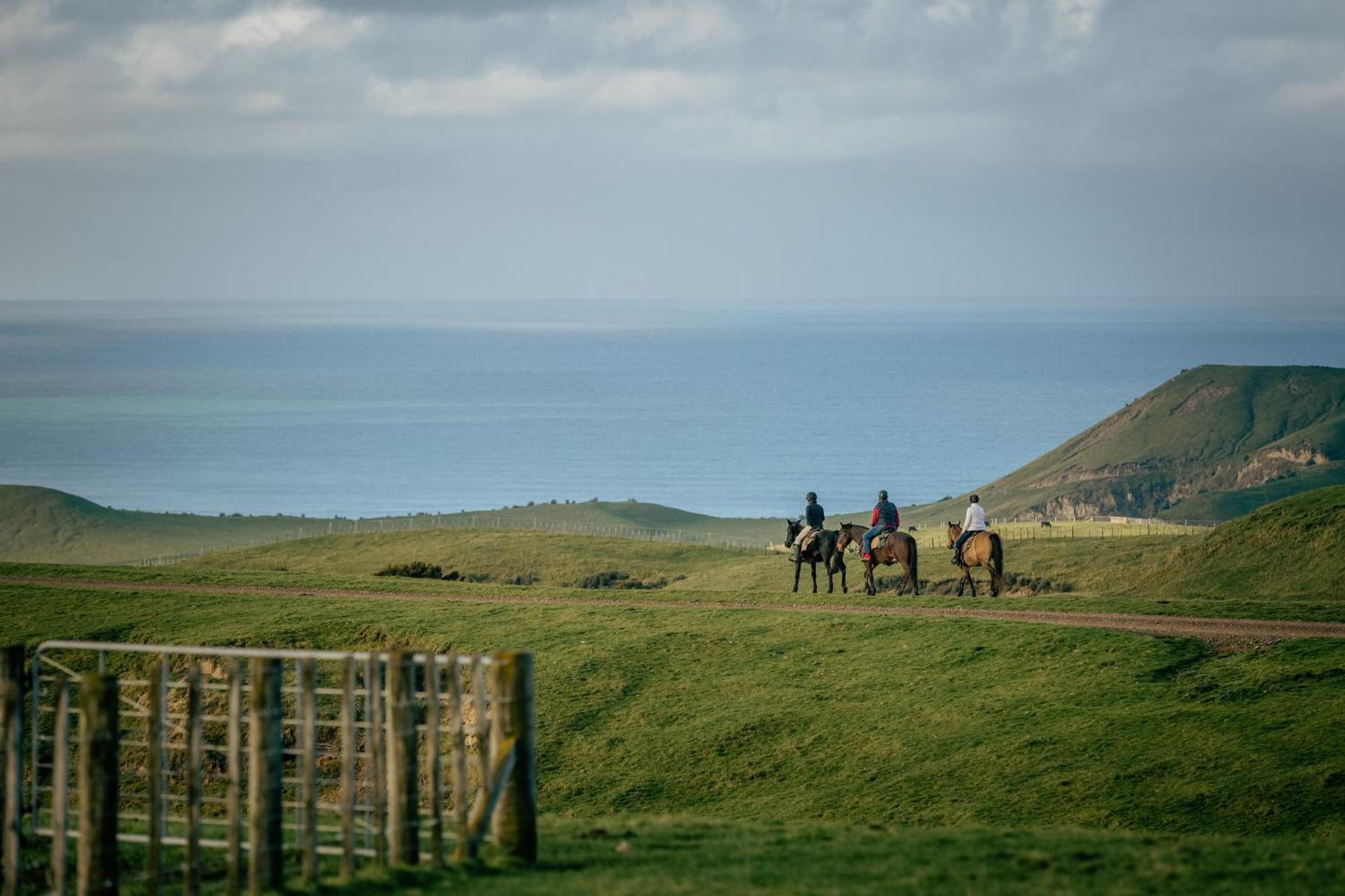 Willa Rosewood Cape Kidnappers Te Awanga Zewnętrze zdjęcie
